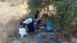 Saat Puluhan Botol Bir Tergeletak Dibuang di Pantai Pink Komodo