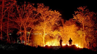 Petugas Berjibaku Padamkan Kebakaran Lahan di Gowa