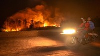 Kebakaran melanda lahan di Desa Soak Batok, Indralaya Utara, Ogan Ilir, Sumatera Selatan, Senin (9/9/2019). Berdasarkan pantauan satelit milik LAPAN terdapat 222 titik panas di Provinsi Sumatera Selatan. Antara Foto/Mushaful Imam.