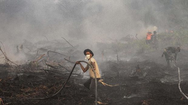 Kabut Asap Kalimantan Makin Pekat, Pesawat Tak Berani Terbang