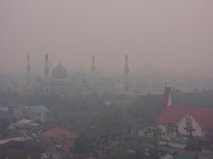 Asap Pekat Selimuti Riau, Pemprov Gelar Salat Minta Hujan Besok
