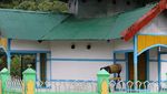 Foto: Masjid yang Dibangun 3 Agama di Papua