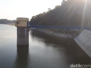 Waduk Pacal di Bojonegoro Surut, Lahan Pertanian di 4 Kecamatan Kekeringan