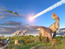 Makhluk Mungil Ini Berhasil Bertahan dari Hantaman Asteroid 66 Juta Tahun Lalu