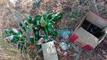 Saat Puluhan Botol Bir Tergeletak Dibuang di Pantai Pink Komodo