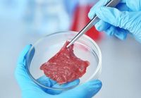 Tren Daging Nabati Makin Populer, Kini Ada Steak Jamur Rasa Daging