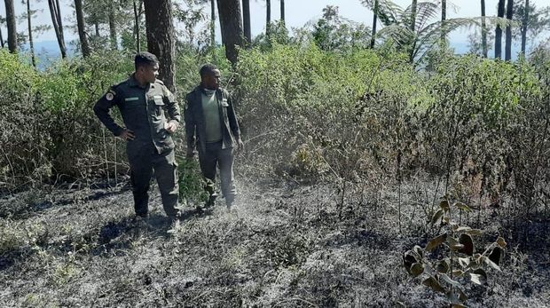 Lagi, Kebakaran Landa Lereng Gunung Merbabu