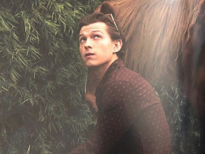 Tom Holland dari instagram.