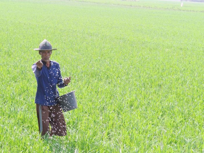 Foto: Dok Kementan Foto: Dok Kementan