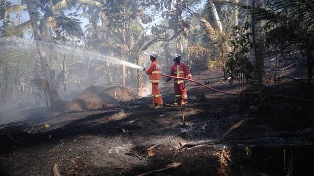 50 Persen Wilayah Pangandaran Kekeringan, Kebakaran Lahan Hantui Warga