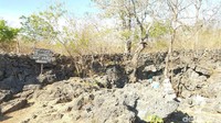 Gua Kristal berada di Desa Solok, Kupang Barat. Jika ditempuh dari pusat kota memakan waktu sekitar 1 jam perjalanan dengan roda empat. Dan untuk masuk ke dalam kawasan gua traveler harus jalan kaki sekitar 400 meter menuju lahan pertanian warga. (Syanti Mustika/detikcom)