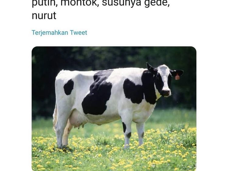 Kocaknya Meme Kriteria Pacar Idaman Versi Dunia Kuliner