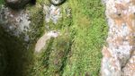 Foto: Gua Misteri di Sumatera Utara