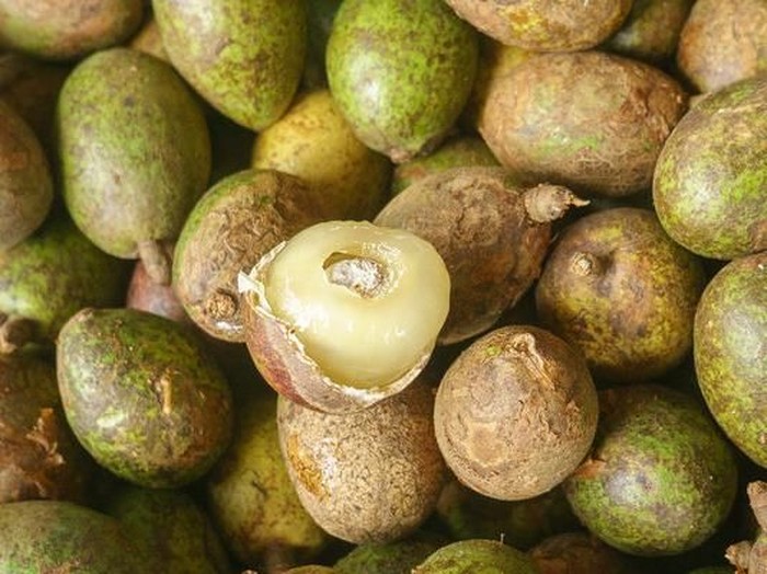 Buah Matoa untuk Kesehatan