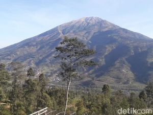 BTNGMb Kirim Tim ke Lokasi Kebakaran di Lereng Gunung Merbabu