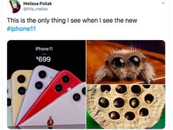 Kamera iPhone 11 Jadi Bahan Meme Kocak