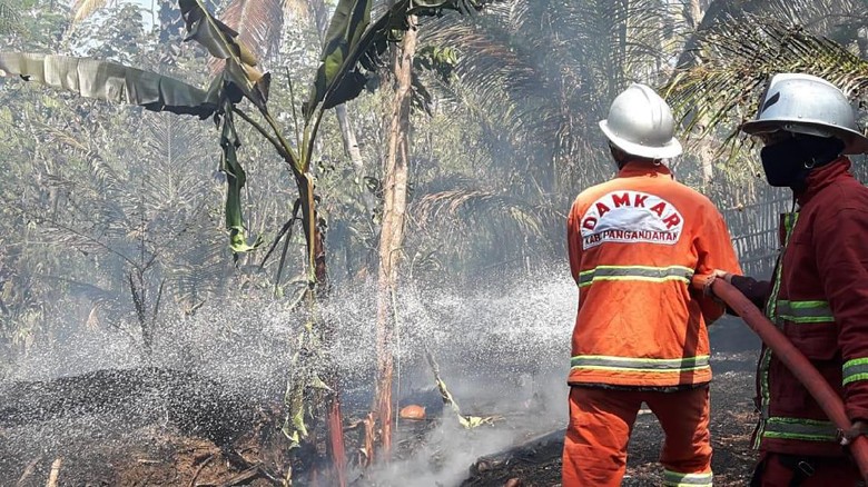 50 Persen Wilayah Pangandaran Kekeringan, Kebakaran Lahan Hantui Warga 50 Persen Wilayah Pangandaran Kekeringan, Kebakaran Lahan Hantui Warga