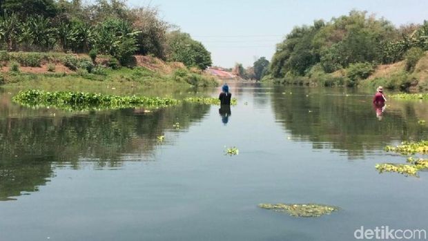 Kala Air Bengawan Solo Sepekat Jelaga dan Merebakkan Aroma Busuk