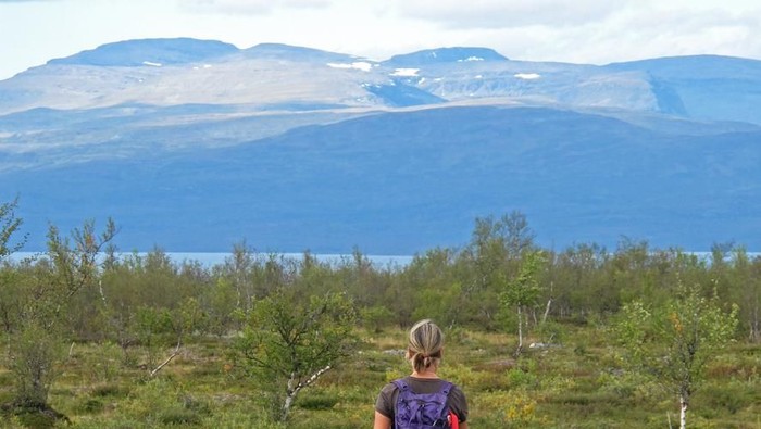 Woman Hiker on the Kungsleden trail, the long distance hiking trail in northern Lapland, Abisko National Park, Sweden, Europe