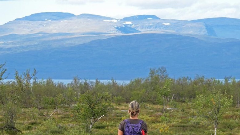 Woman Hiker on the Kungsleden trail, the long distance hiking trail in northern Lapland, Abisko National Park, Sweden, Europe