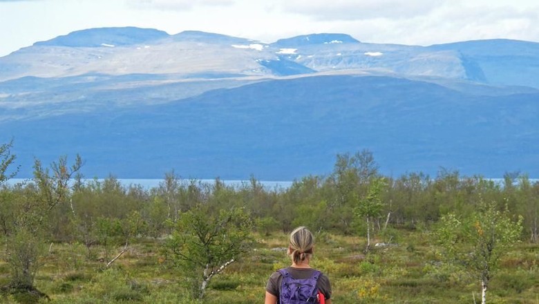 Gunung Kebnekaise Swedia Woman Hiker on the Kungsleden trail, the long distance hiking trail in northern Lapland, Abisko National Park, Sweden, Europe