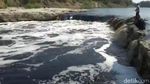 Parah! Sungai Bengawan Solo Tercemar Limbah