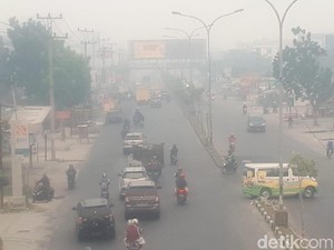 Kabut Asap Kepung Sumatera-Kalimantan, Pengusaha Hilang Omzet 50%