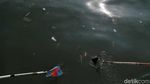 Aksi Bersihkan Sampah Laut Sambut Hari Perhubungan Nasional