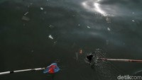 Nampak sejumlah sampah terbawa arus hingga ke laut di kawasan Tanjung Priok, Jakarta Utara.