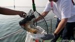 Aksi Bersihkan Sampah Laut Sambut Hari Perhubungan Nasional