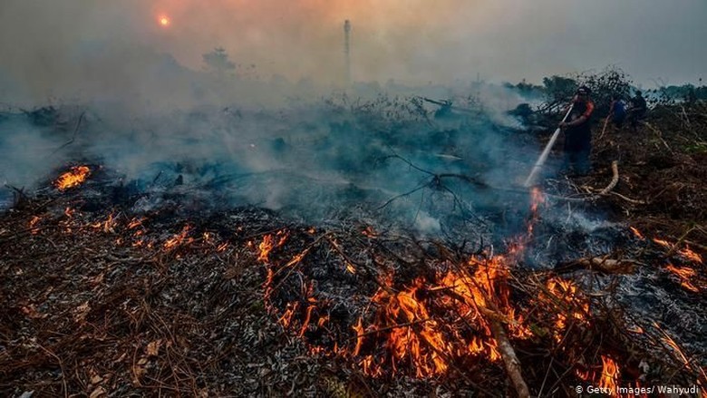 Greenpeace: Pengawasan dan Penegakan Hukum Solusi Kebakaran Hutan Indonesia Greenpeace: Pengawasan dan Penegakan Hukum Solusi Kebakaran Hutan Indonesia