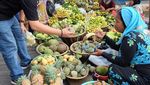 Makan Bareng Jokowi hingga Belanja Srikaya, Ini Kulineran Bos Bukalapak