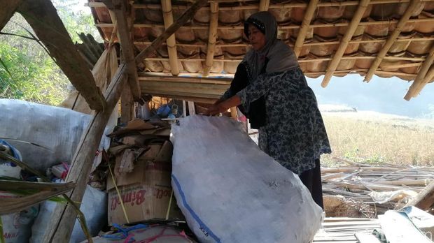 Gagal Panen Akibat Kekeringan, Buruh Tani di KBB Jadi Pemulung