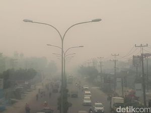 Kabut Asap Bikin Kesal Warga Riau hingga Investor