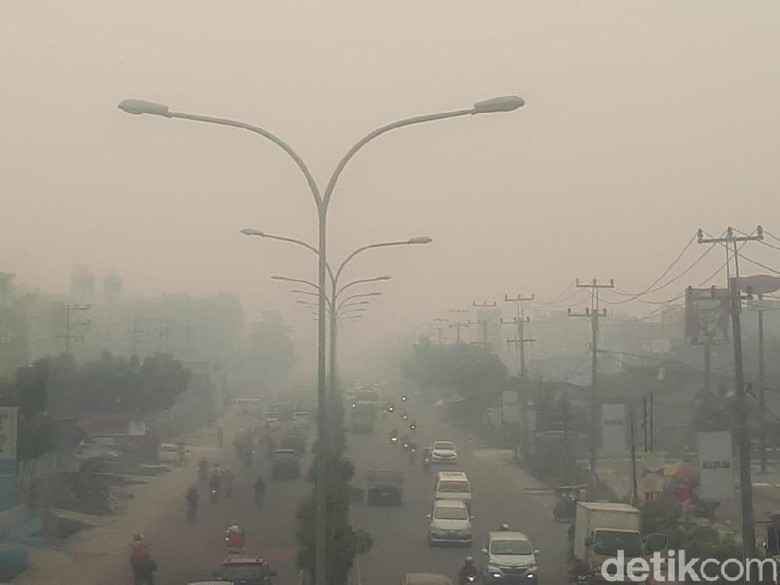 Imbas Kabut Asap Karhutla, Langit di Pekanbaru Tampak Mendung Imbas Kabut Asap Karhutla, Langit di Pekanbaru Tampak Mendung