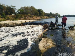 Pencemaran Parah! Air Bengawan Solo Hitam Pekat dan Berbau Busuk