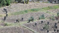 Prajurit gabungan dari unsur TNI AD, TNI AL, dan TNI AL ini bersatu padu melakukan beragam manuver menghancurkan kekuatan musuh.