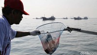 Sampah-sampah plastik dari laut tersebut dikumpulkan untuk diangkut ke tempat pembuangan akhir.