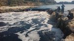 Parah! Sungai Bengawan Solo Tercemar Limbah
