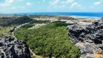 Menjelajah Bukit Mandoo di Pulau Rote