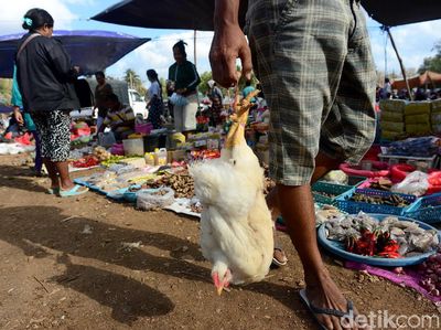 Hiruk Pikuk Pasar Busalangga di Pulau Paling Selatan Indonesia