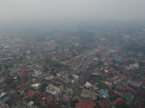 Pembakar Hutan Bermotif Politik Dibidik Penyidik