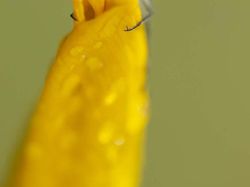 Ini Kumpulan Finalis Kontes Foto Hewan dengan Tingkah Kocak