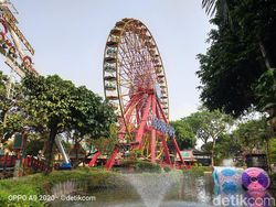 Hasil Jepretan Kamera Oppo A9 2020