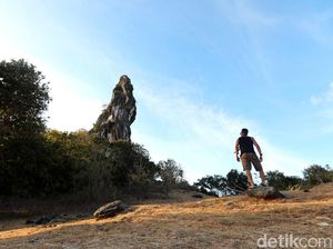 Bukan di Afrika, Ini di Selatan Indonesia
