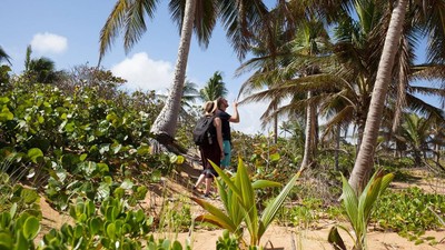 Di Tur Kelapa Ini, Bisa Belajar Bertahan Hidup dan Makan di Alam Bebas