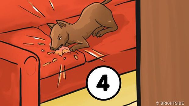 Tes Kepribadian: Mana dari 4 Situasi Genting Ini yang Kamu Atasi Lebih Dulu?