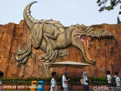 Hasil Jepretan Kamera Oppo A9 2020