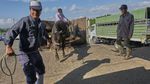 Melihat Proses Pembuatan Daging Sapi Kobe yang Paling Mahal di Dunia