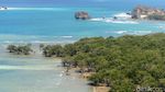 Menjelajah Bukit Mandoo di Pulau Rote